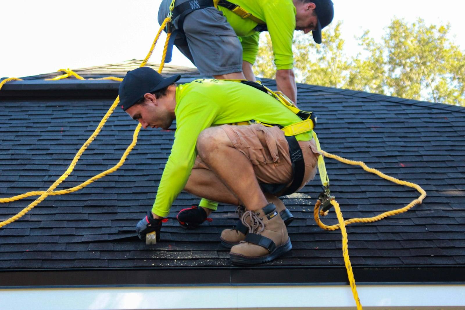 Roofers in safety harnesses installing shingles on a house