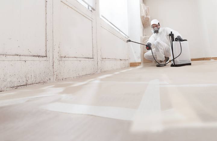 Technician in protective gear treating a wall for mold