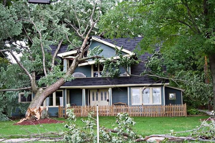 House with a large tree fallen against it after a storm